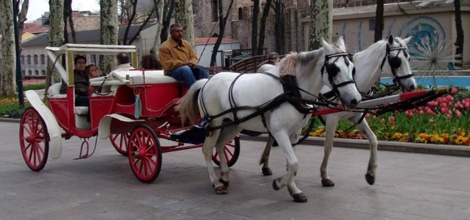 Isparta'nın Son faytoncusu Endişeli