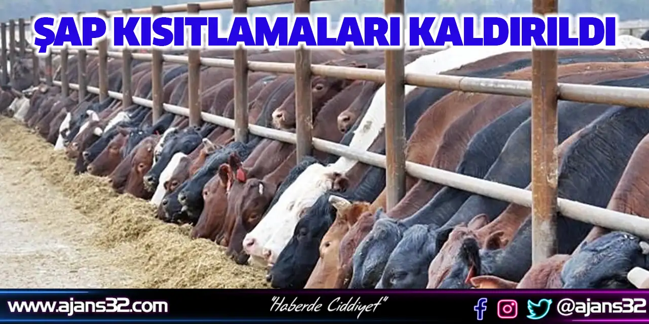 Şap Kısıtlamaları Kaldırıldı