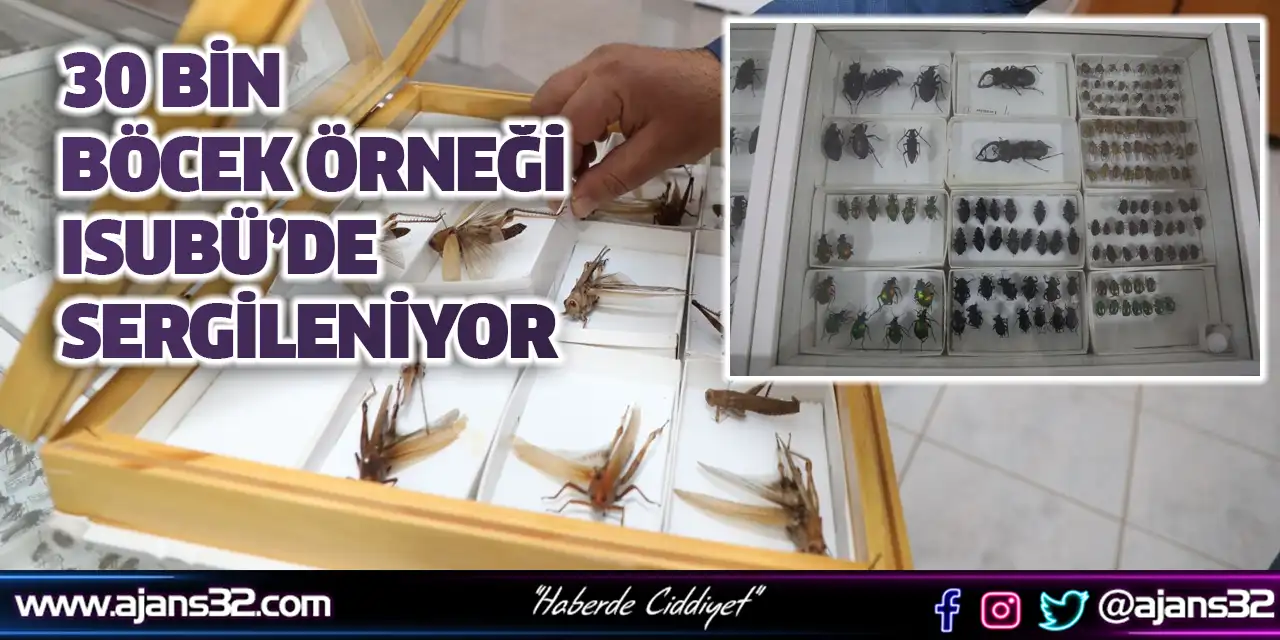 30 Bin Böcek Örneği ISUBÜ’de Sergileniyor