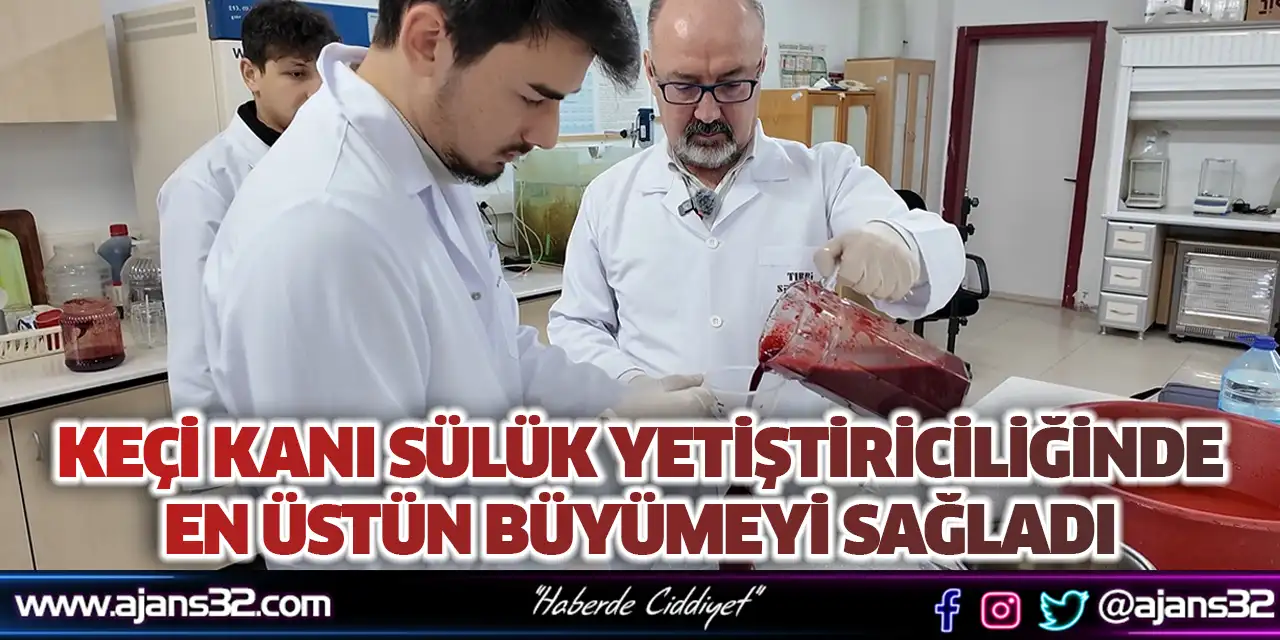 Keçi Kanı Sülük Yetiştiriciliğinde En Üstün Büyümeyi Sağladı