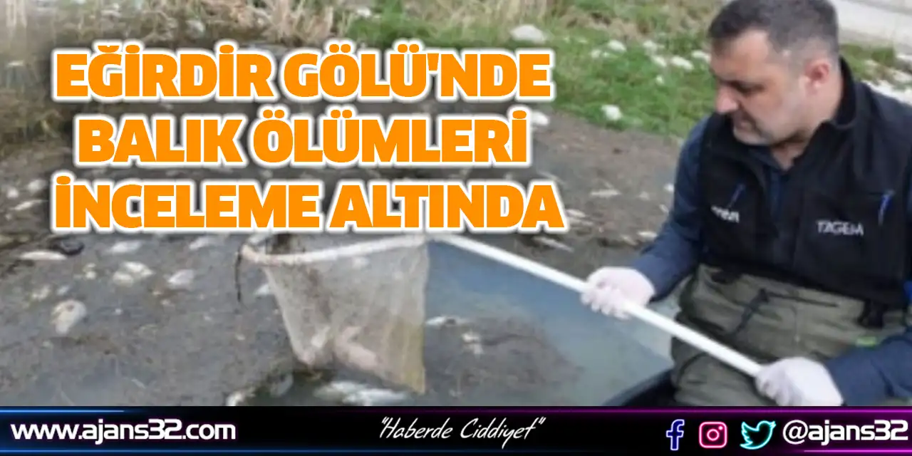 Eğirdir Gölü'nde Balık Ölümleri İnceleme Altında