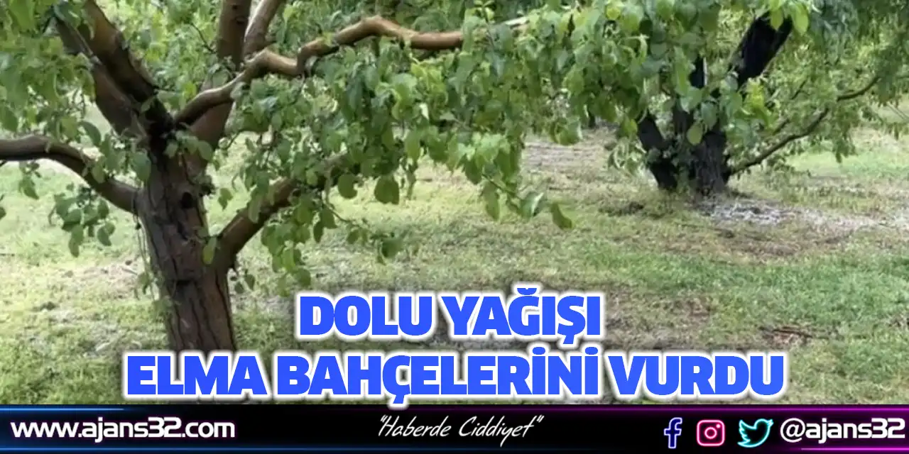 Dolu Elma Bahçelerini Vurdu