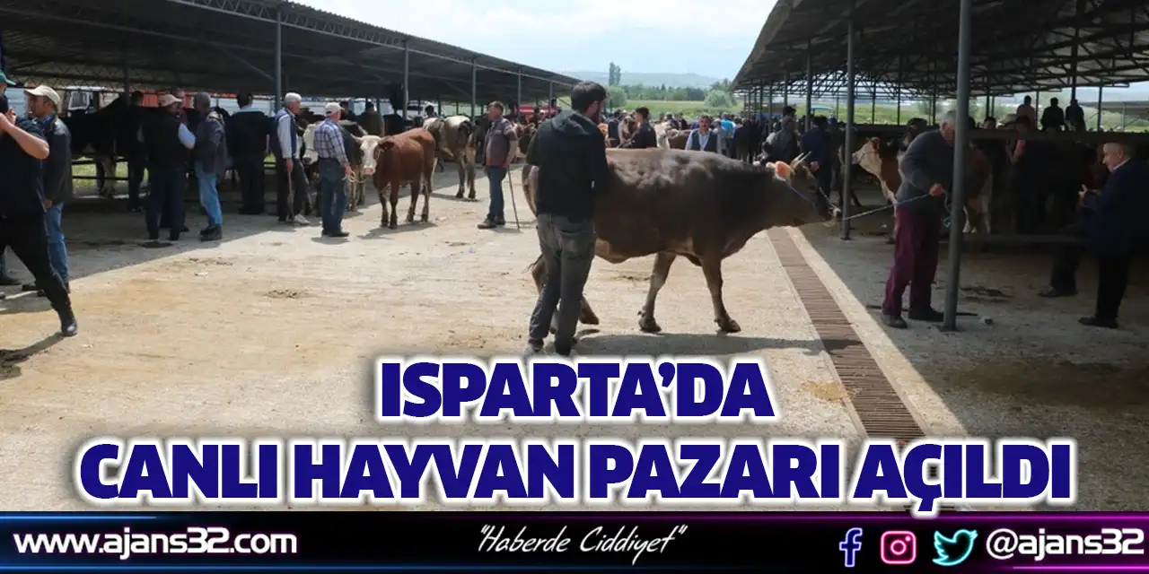 Canlı Hayvan Pazarı Açıldı