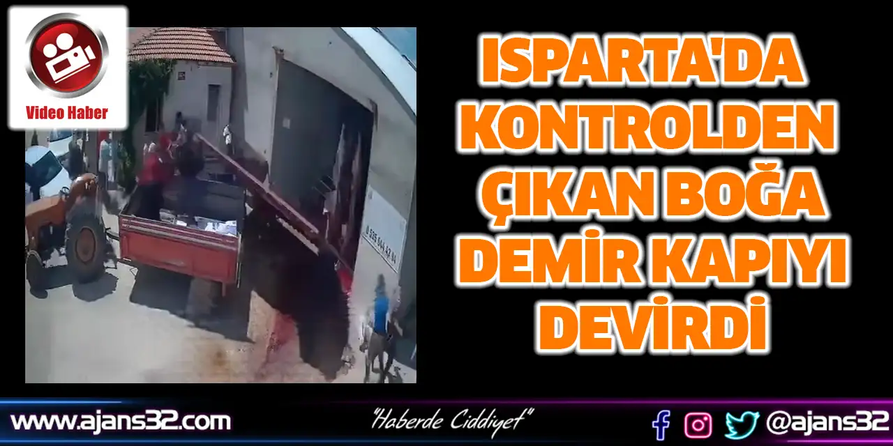 Isparta'da Kontrolden Çıkan Boğa Demir Kapıyı Devirdi