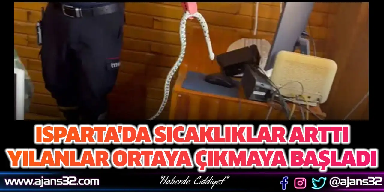 Isparta'da Sıcaklıklar Arttı Yılanlar Ortaya Çıkmaya Başladı