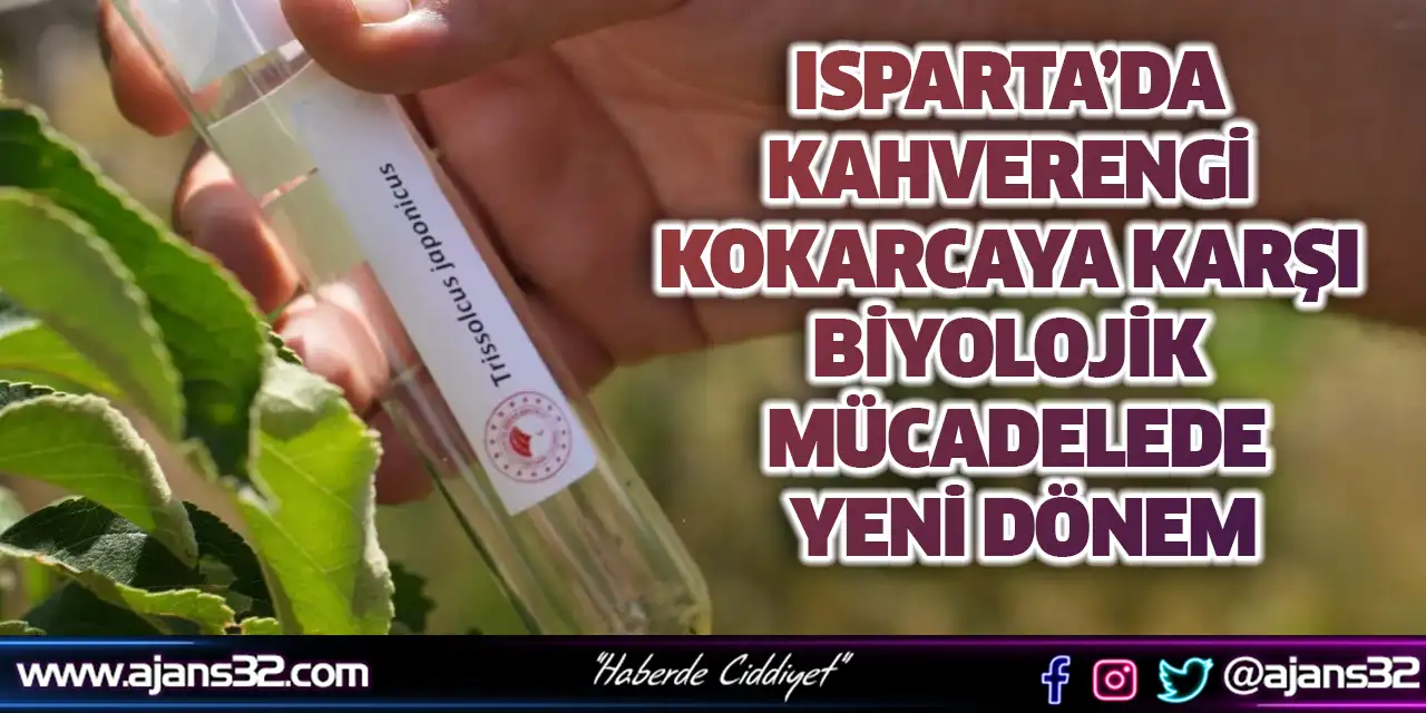 Isparta’da Kahverengi Kokarcaya Karşı Biyolojik Mü