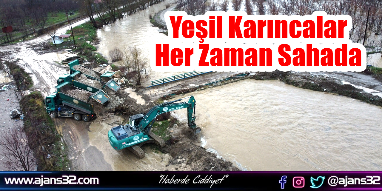 Yeşil Karıncalar Her Zaman Sahada