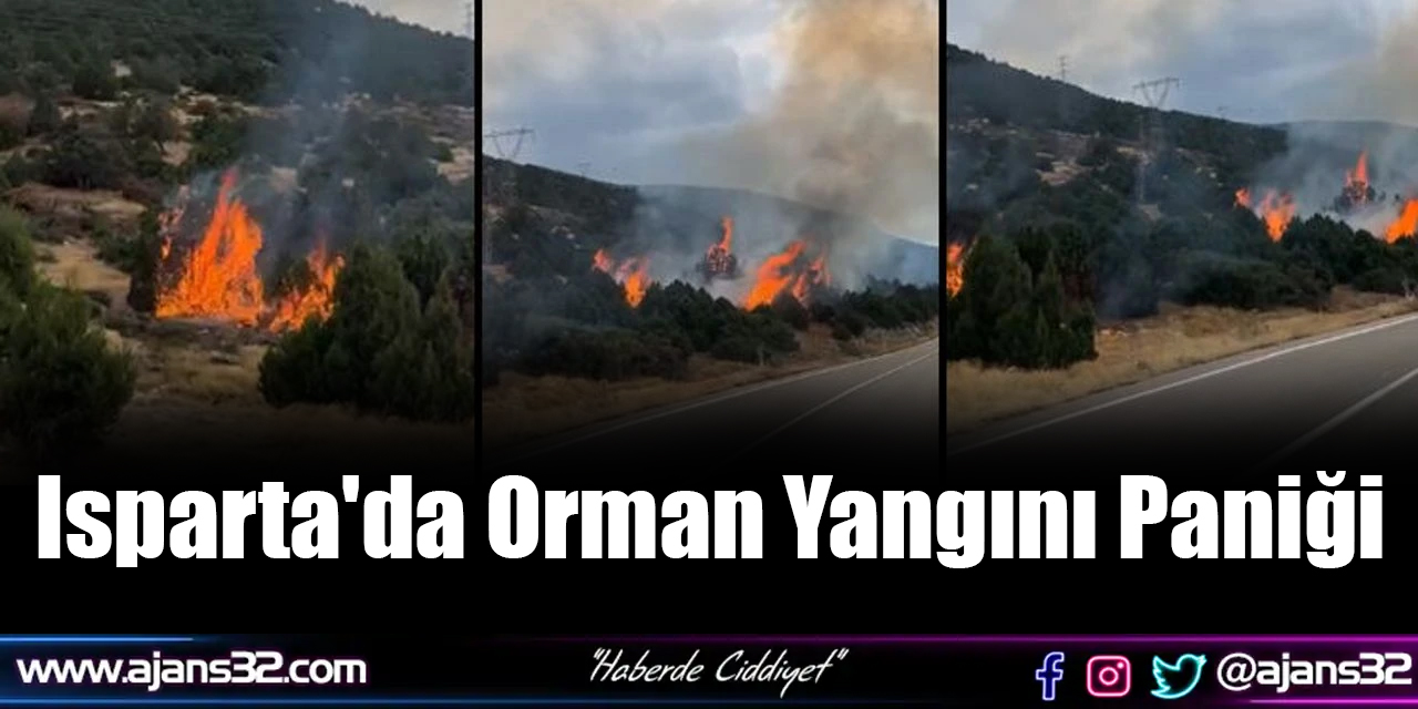 Isparta'da Orman Yangını Paniği