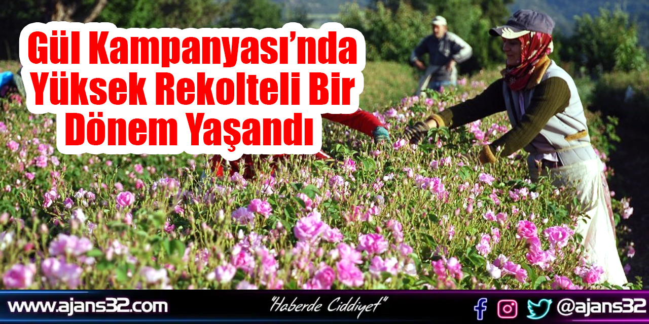 Gül Kampanyası’nda Yüksek Rekolteli Bir Dönem Yaşandı
