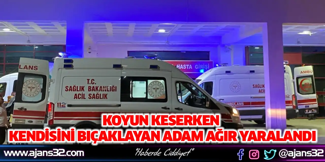 Koyun Keserken Kendisini Bıçaklayan Adam Ağır Yaralandı