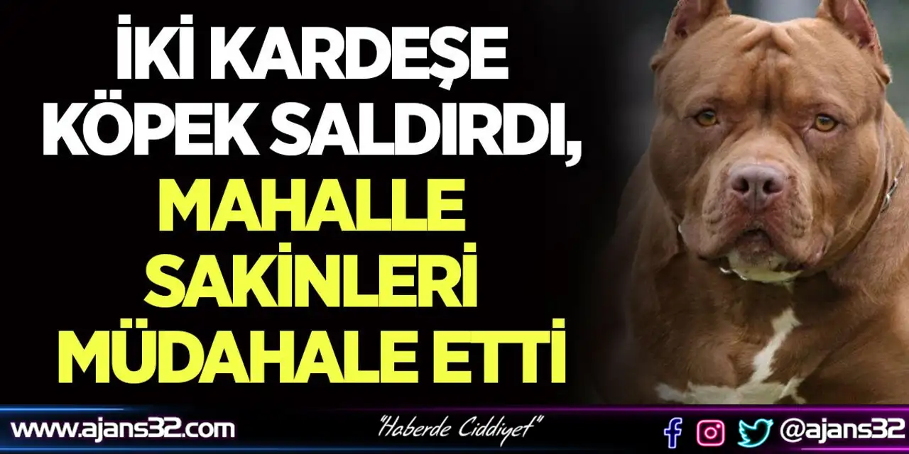 İki Kardeşe Köpek Saldırdı, Mahalle Sakinleri Müdahale Etti