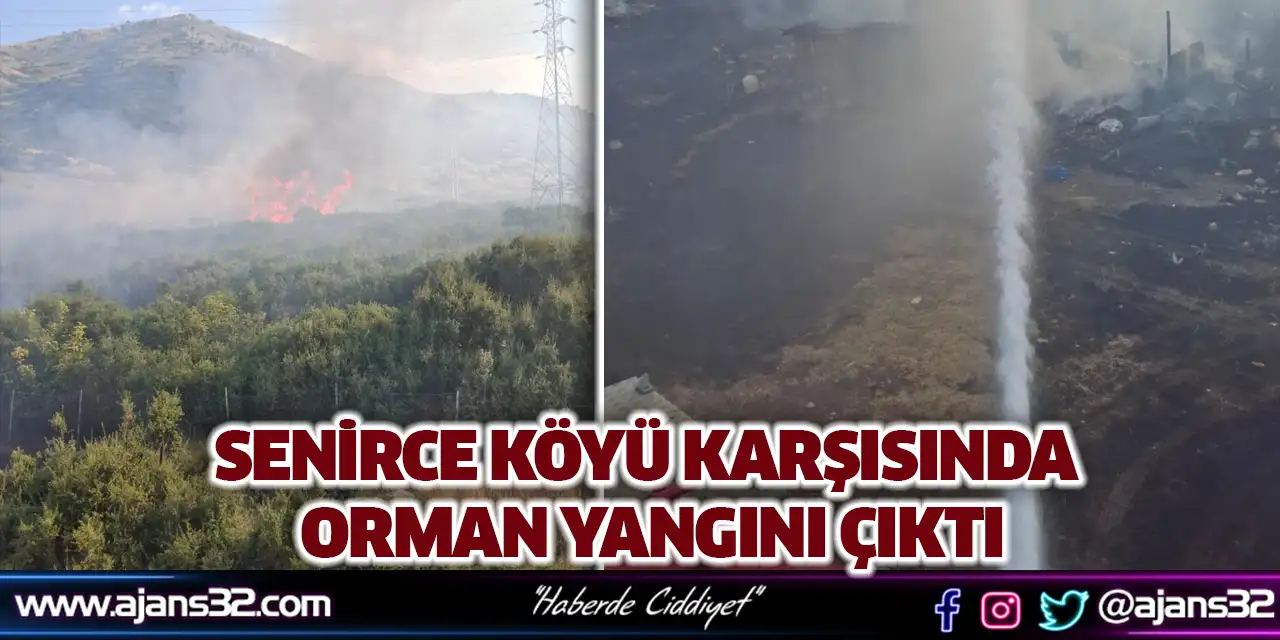 Senirce Köyü Karşısında Orman Yangını Çıktı