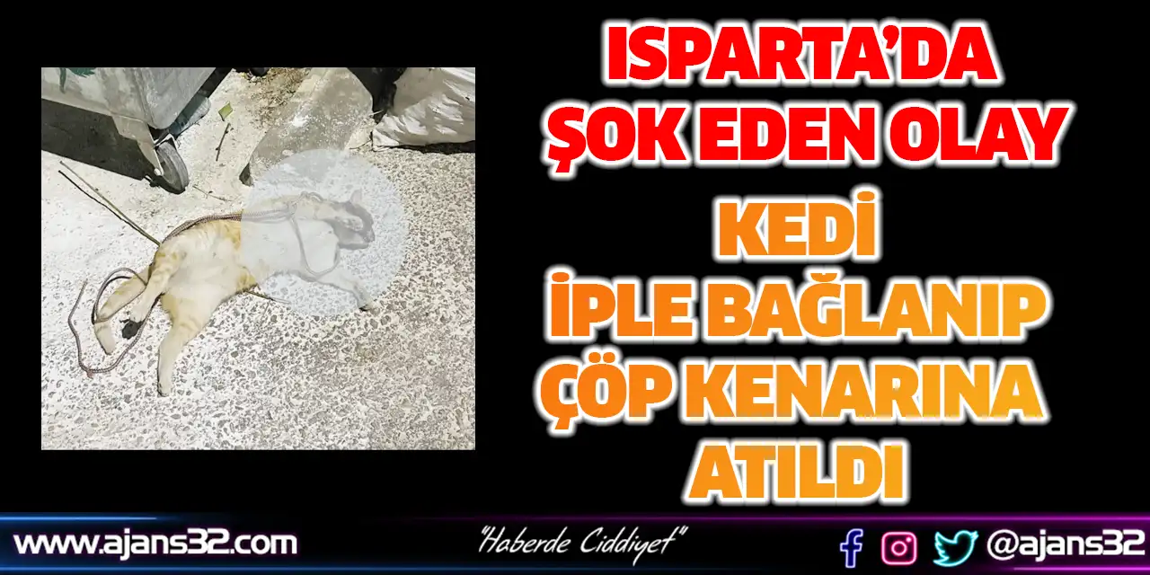 Kedi İple Bağlanıp Çöp Kenarına Atıldı