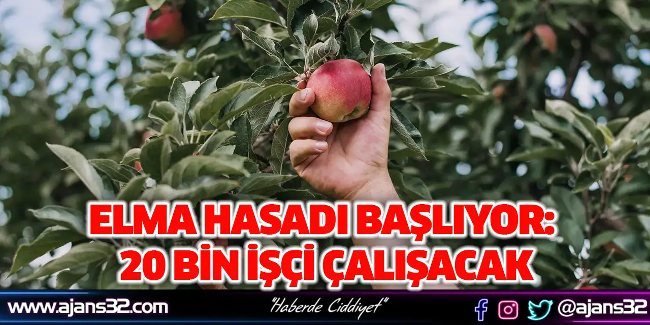 Elma Hasadı Başlıyor: 20 Bin İşçi Çalışacak