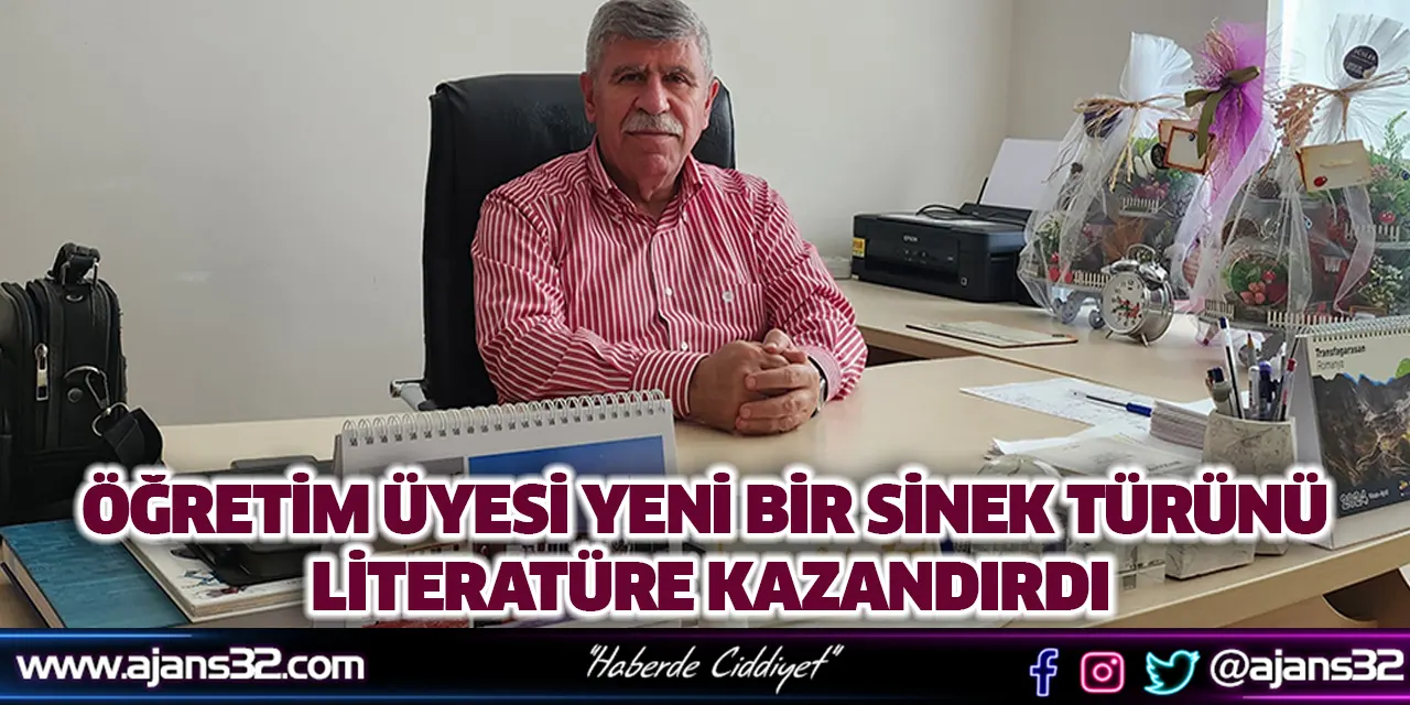 Öğretim Üyesi Yeni Bir Sinek Türünü Literatüre Kazandırdı