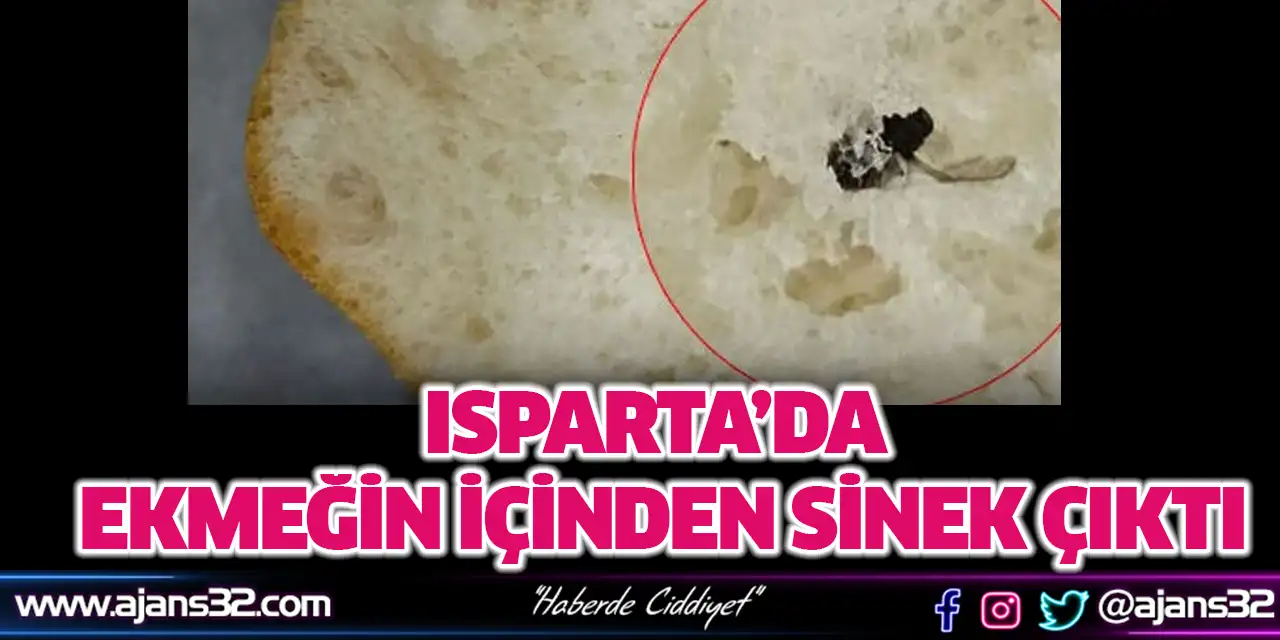 Ekmeğin İçinden Sinek Çıktı