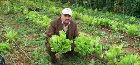 Isparta Seracılıkta Büyük Gelişme Kaydetti