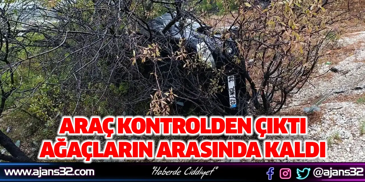 Kontrolden Çıktı, Ağaçların Arasında Kaldı