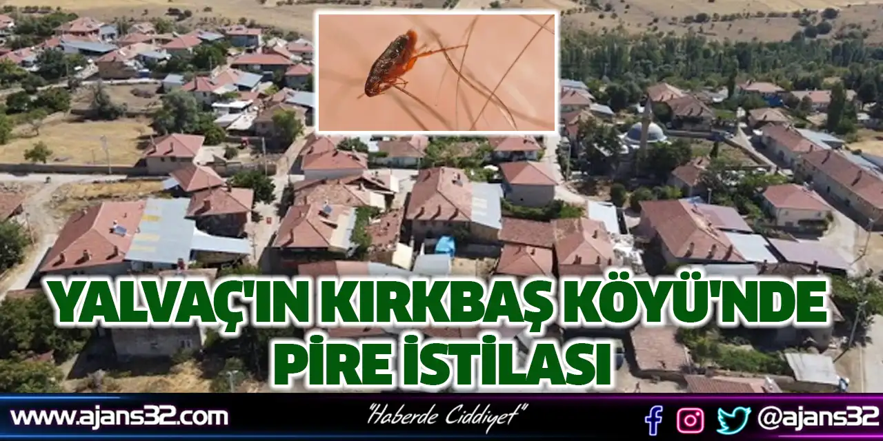 Yalvaç'ın Kırkbaş Köyü'nde Pire İstilası