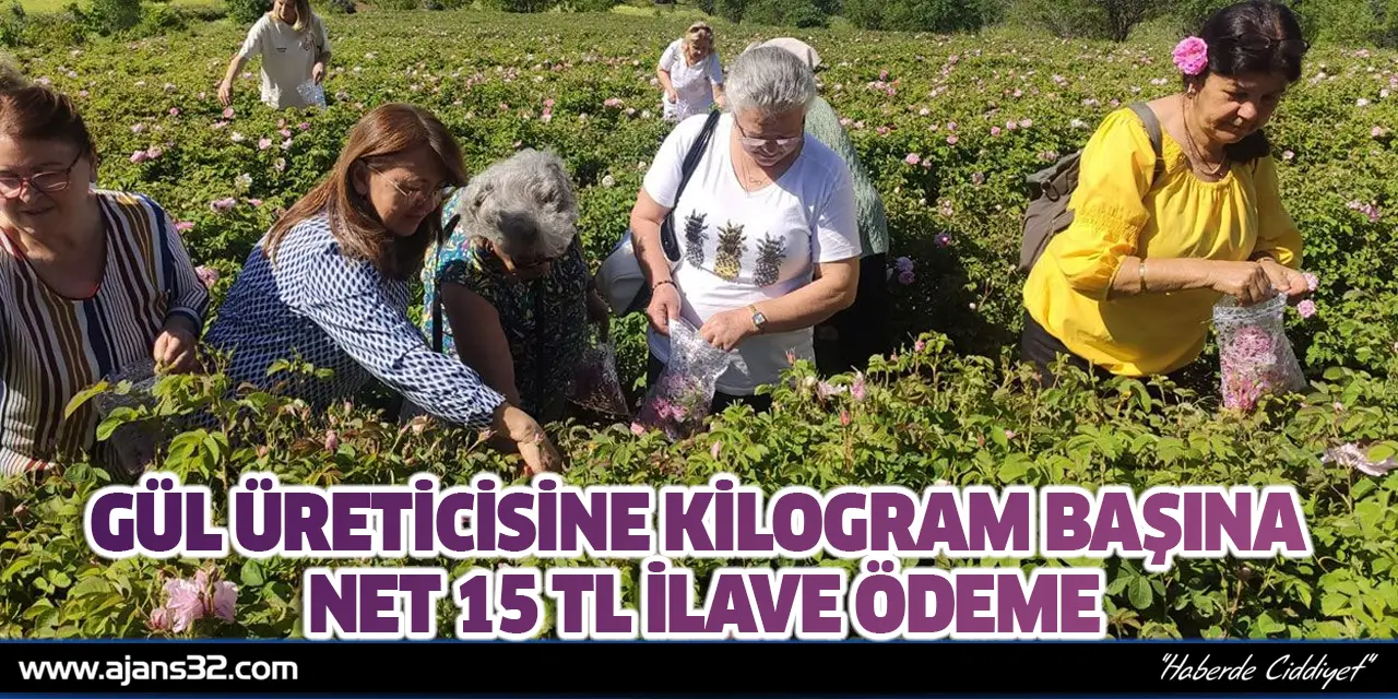 Gül Üreticisine Kilogram Başına Net 15 Tl İlave Ödeme