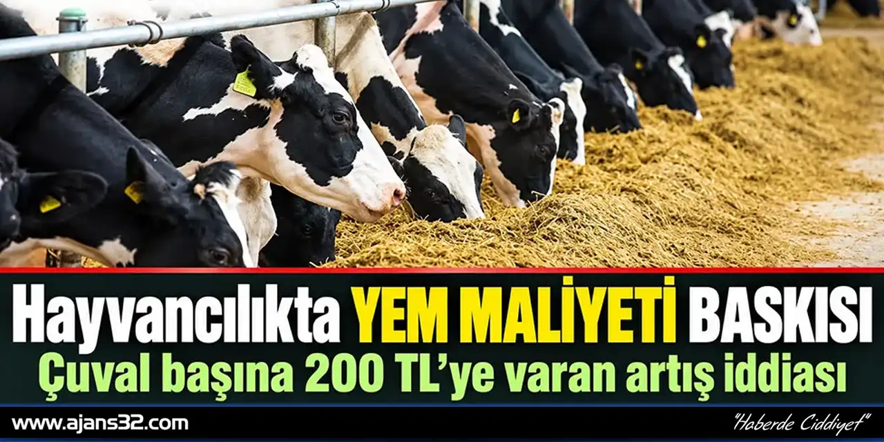 Yem Fiyatları Artıyor, Hayvancılıkta Kriz Büyüyor