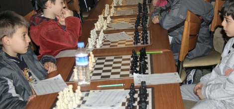 Belediye'den Gül ve Halı Festivali Satranç Turnuvası