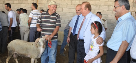 Isparta Merkez ve İlçelerdeki 41 Aileye 41 Koç Dağıtıldı