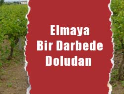 Elmaya Bir Darbede Doludan