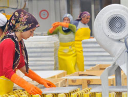 Kadınlar İş Arıyor Erkekler Yatıyor