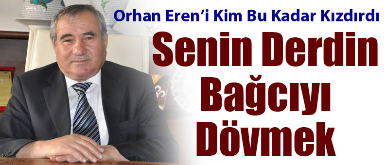 Senin Derdin Bağcıyı Dövmek