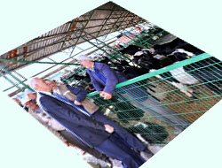 Isparta Bayrama Hazır