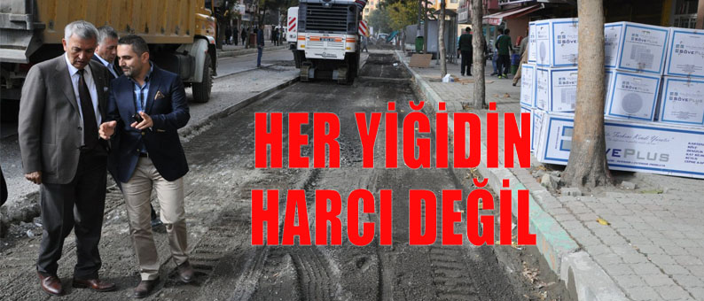 Her Yiğit Cesaret Edemez