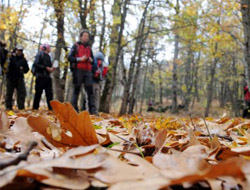 Doğa İlgi Bekliyor