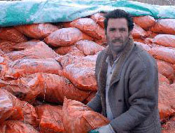 Bu Gazla Ancak İki Yıl Yaşarız