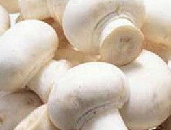 Anne ve 3 Çocuğu Yedikleri Mantardan Zehirlendi!