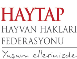 Belediyeyi Katliamcı İlan Ettiler