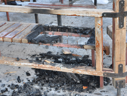 Kamelyalara Zarar Verenler Yakalandı