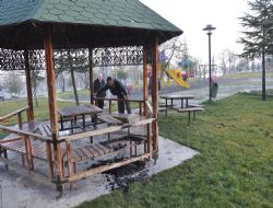 Kamelyalara Zarar Verenler Yakalandı