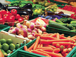 Meyve Ve Sebzeler Paketlenecek