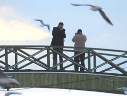 Ispartalı Fotoğraf Tutkunları Beyşehir Gölü'nde...