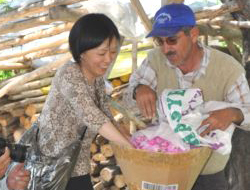 Japonlar Isparta’ya Gül Toplamaya Gelecek