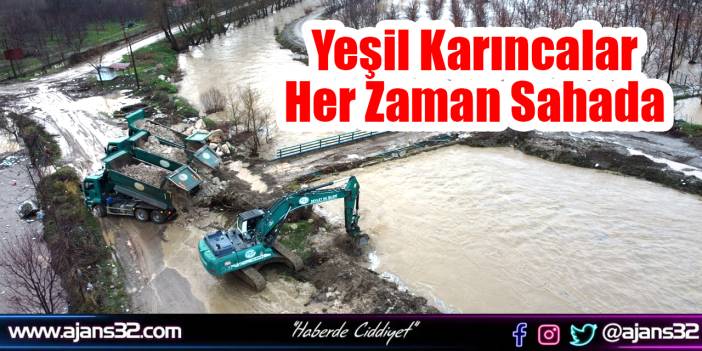 Yeşil Karıncalar Her Zaman Sahada