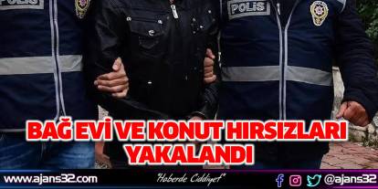 Bağ Evi Ve Konut Hırsızları Yakalandı