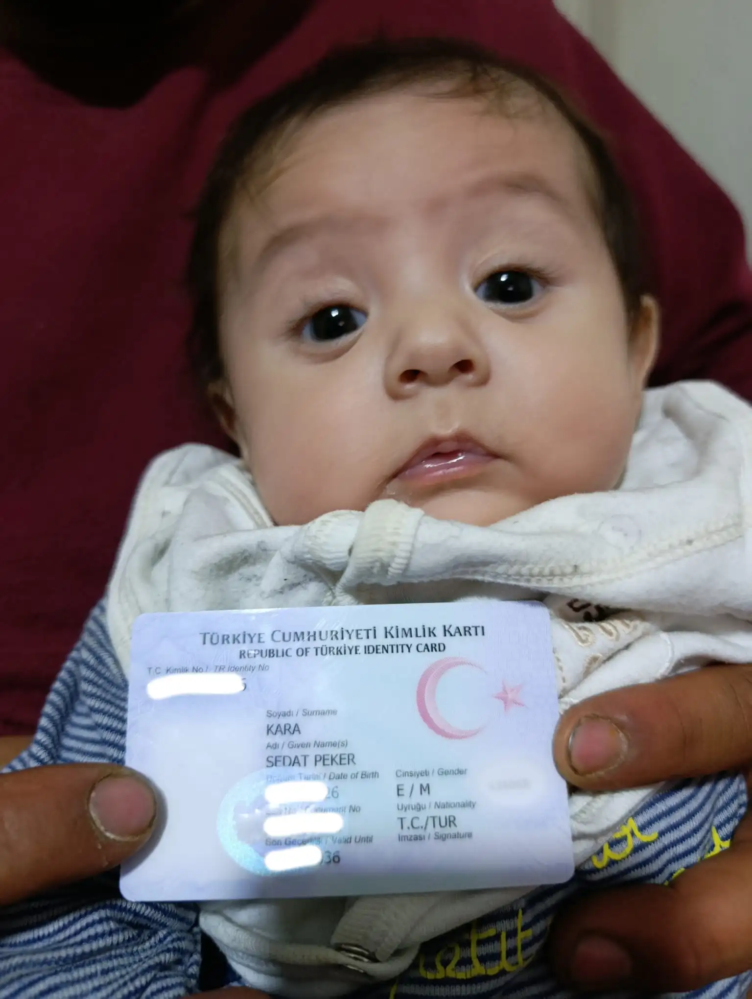 bebek.webp